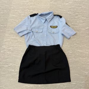 ミニスカポリス